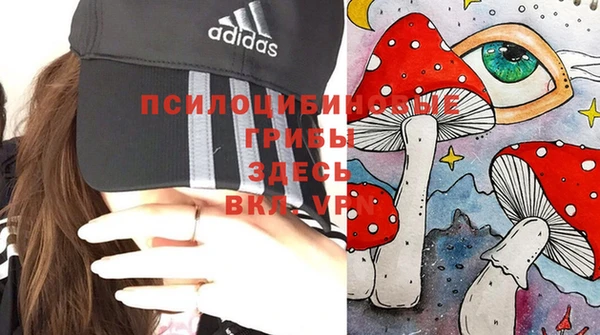 таблы Алексин