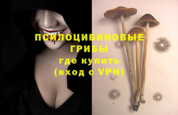 ALPHA PVP Алзамай