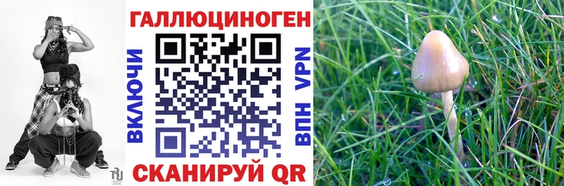 Псилоцибиновые грибы Psilocybine cubensis  OMG зеркало  Минусинск 
