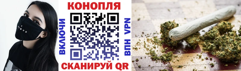 где продают наркотики  Минусинск  сайты даркнета как зайти  МАРИХУАНА сатива 